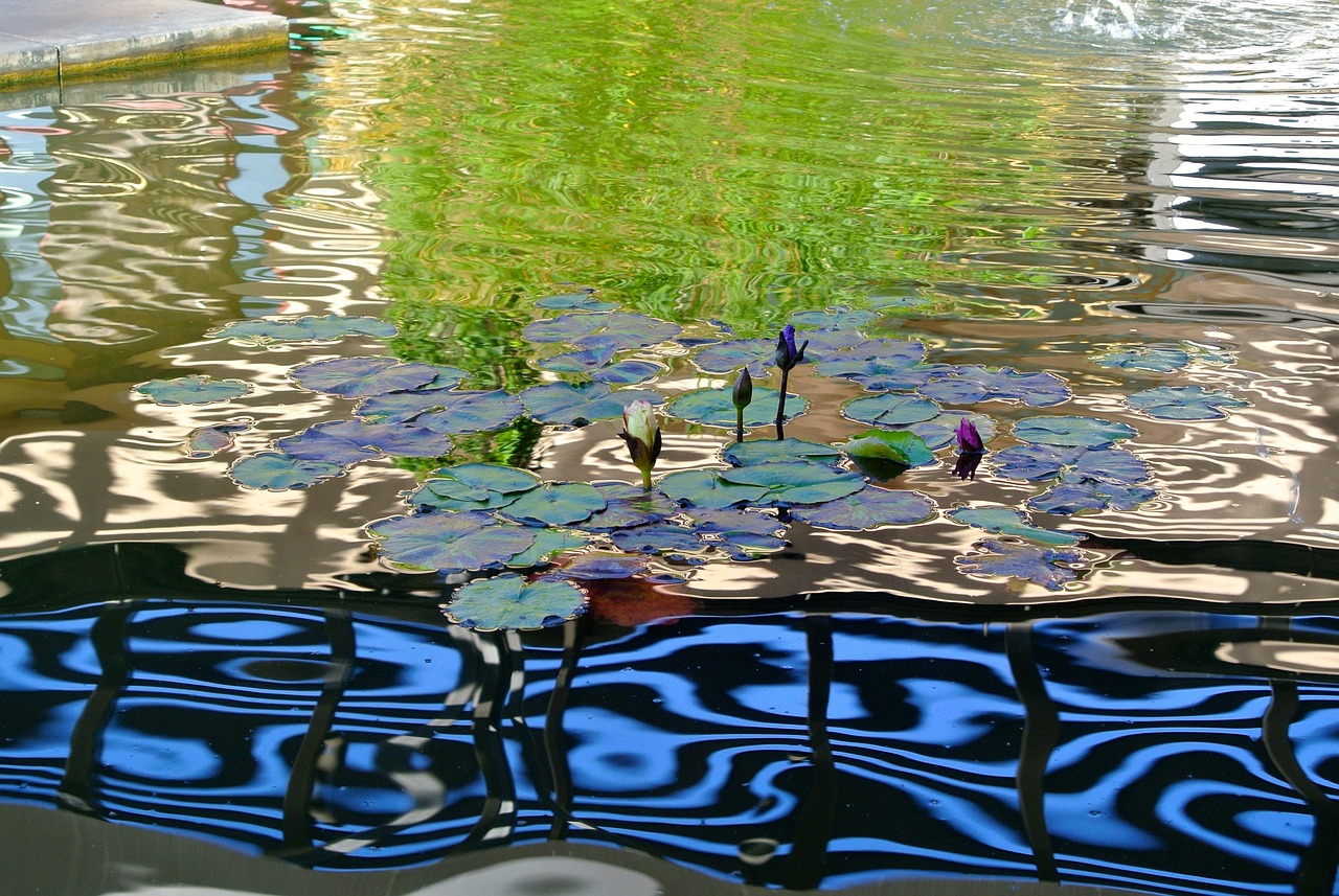 Water, pond, nature — A Clean Energy Source: New Power Units from Alkaline Fuel Cell Power