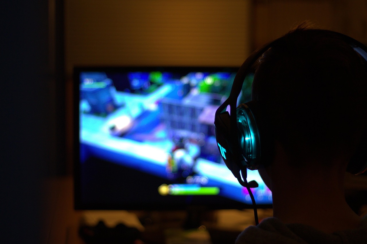 Fortnite, computer game, game — Boosting Sports Popularity by Making Games Free to Watch
