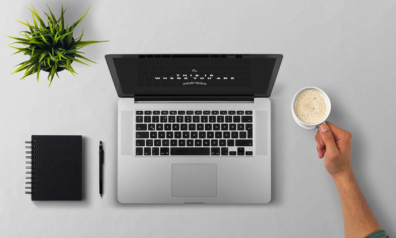 Laptop, coffee, arm — Know about zonbase features