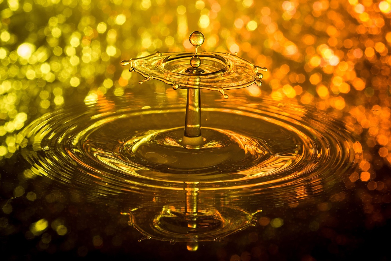 Drops, nature, water — Photolemur: What Version of Lightroom to Choose?