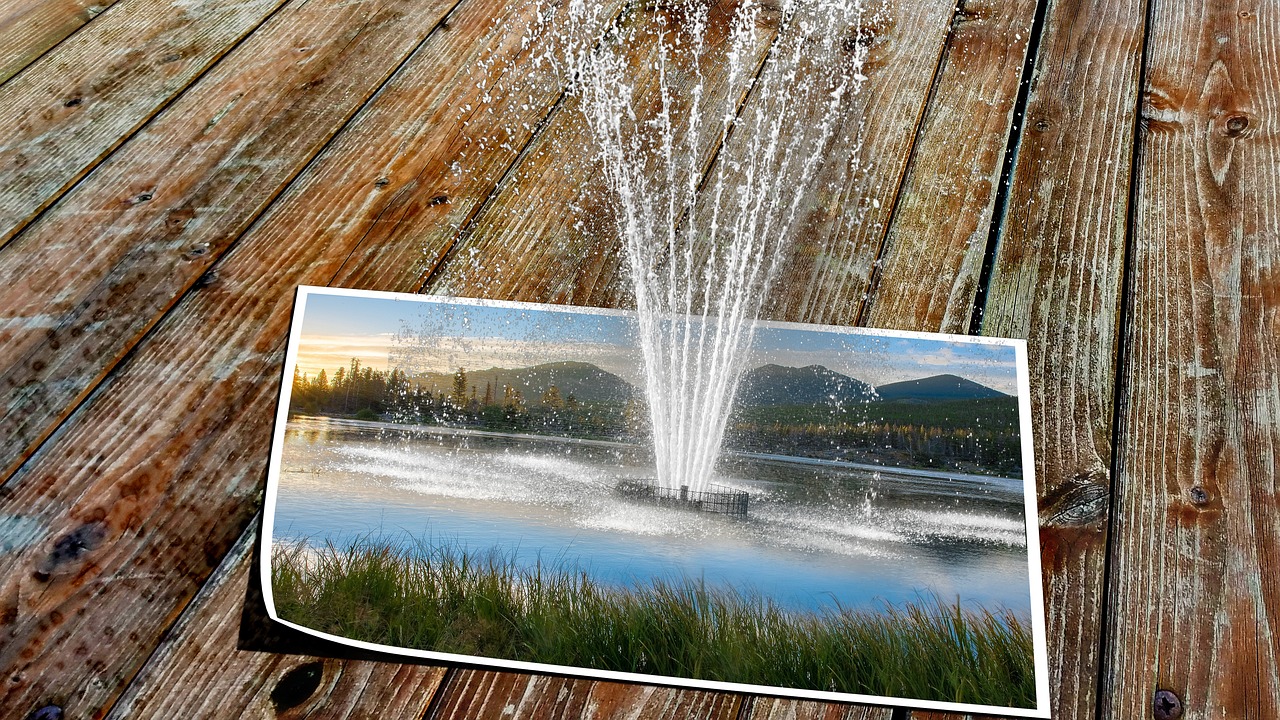 Lake, fountain, photo — Want to take a break from work? Play 13 card rummy